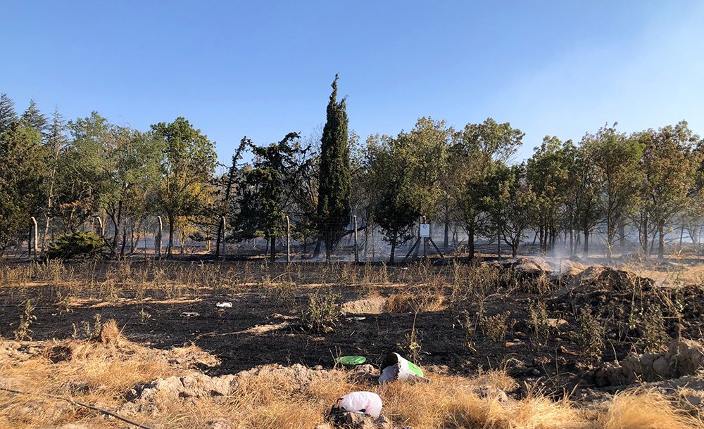 Hatıra Ormanında Korkutan Yangın 
