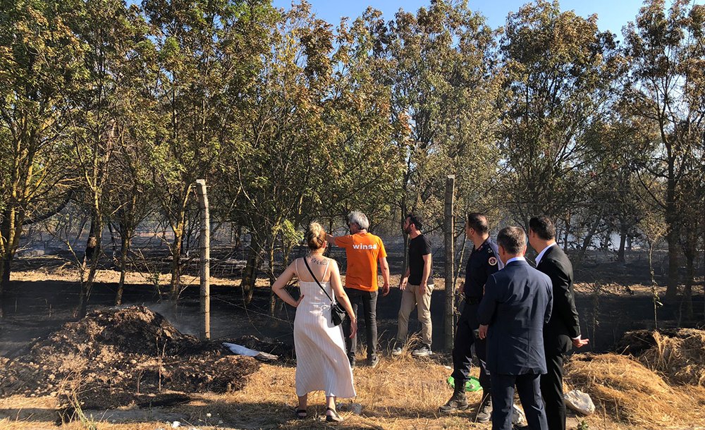 Hatıra Ormanında Korkutan Yangın 
