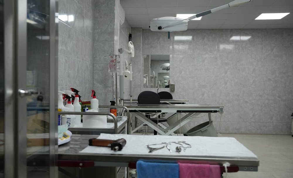 Hayvan Bakımevinin Açılışı Yapıldı 