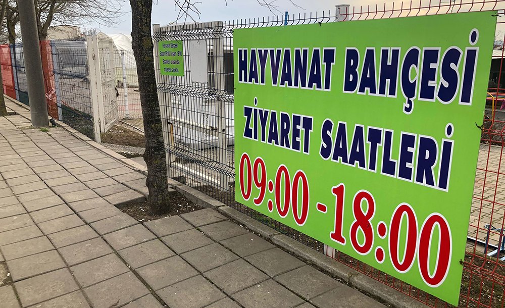 Hayvanat Bahçesi Çorlu'ya Yakışmıyor 