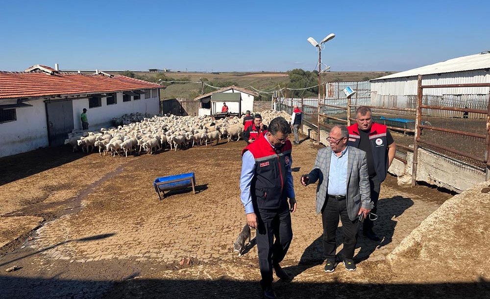 Hayvancılığın Geliştirilmesi İçin Çalışmalar Sürüyor 