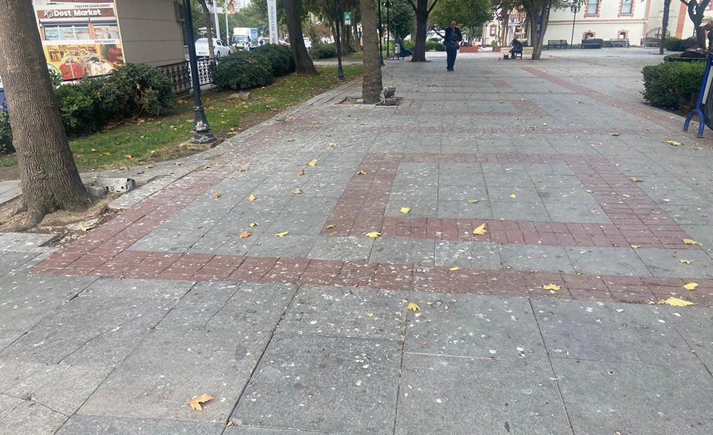 Kaldırımların Üzeri Kuş Pisliğinden Geçilmiyor 