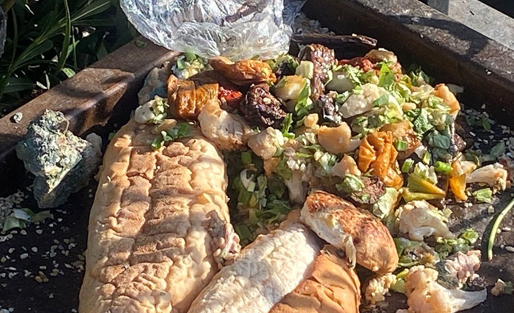 Kuş Besleme Alanında İstenmeyen Görüntüler 