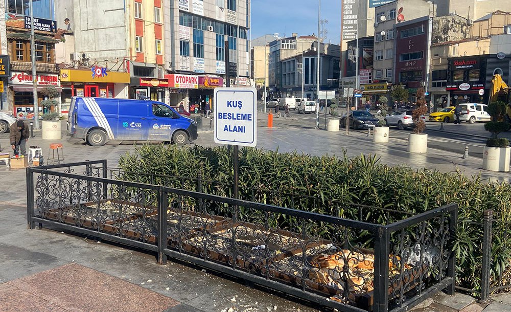 Kuş Besleme Alanında İstenmeyen Görüntüler 