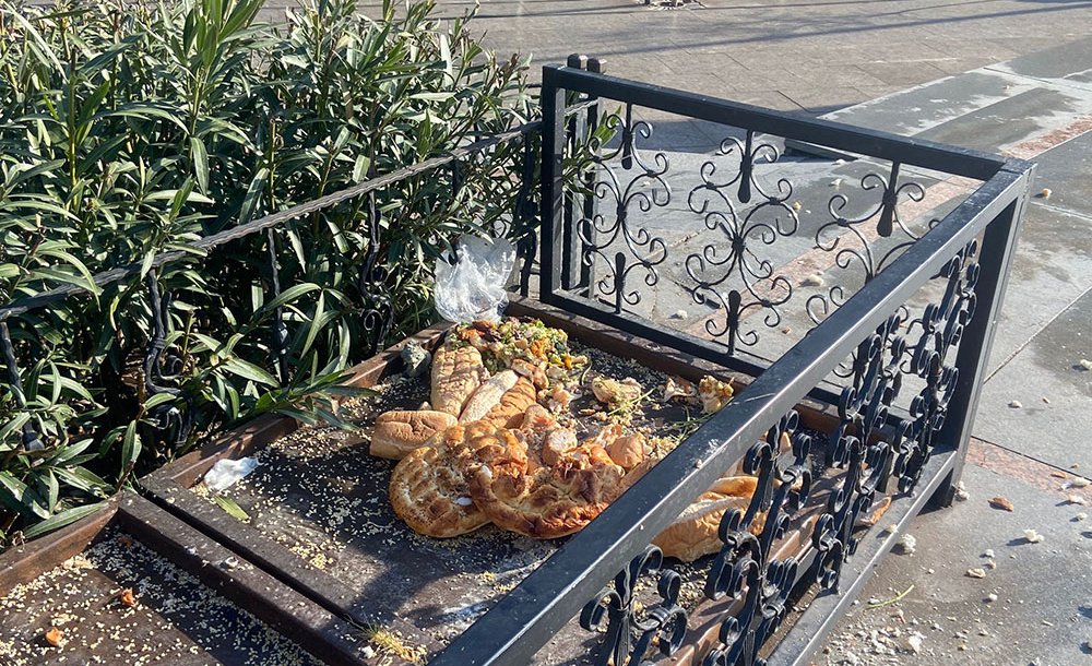 Kuş Besleme Alanında İstenmeyen Görüntüler 