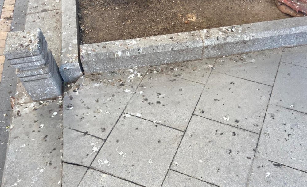 Kuş Pislikleri Tepki Çekiyor 