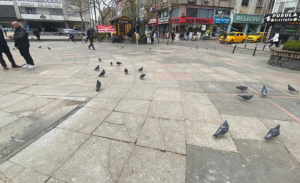 Meydandaki Kuş Pislikleri Tepki Çekiyor 