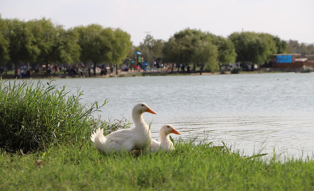 Nüfusa Göre Park Ve Mesire Alanları Yetersiz!