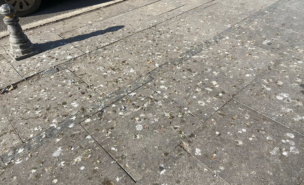 Omurtak Caddesi'ne Yakışmayan Görüntüler