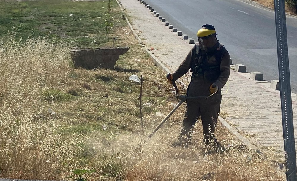 Ot Biçme Çalışmaları Sürüyor