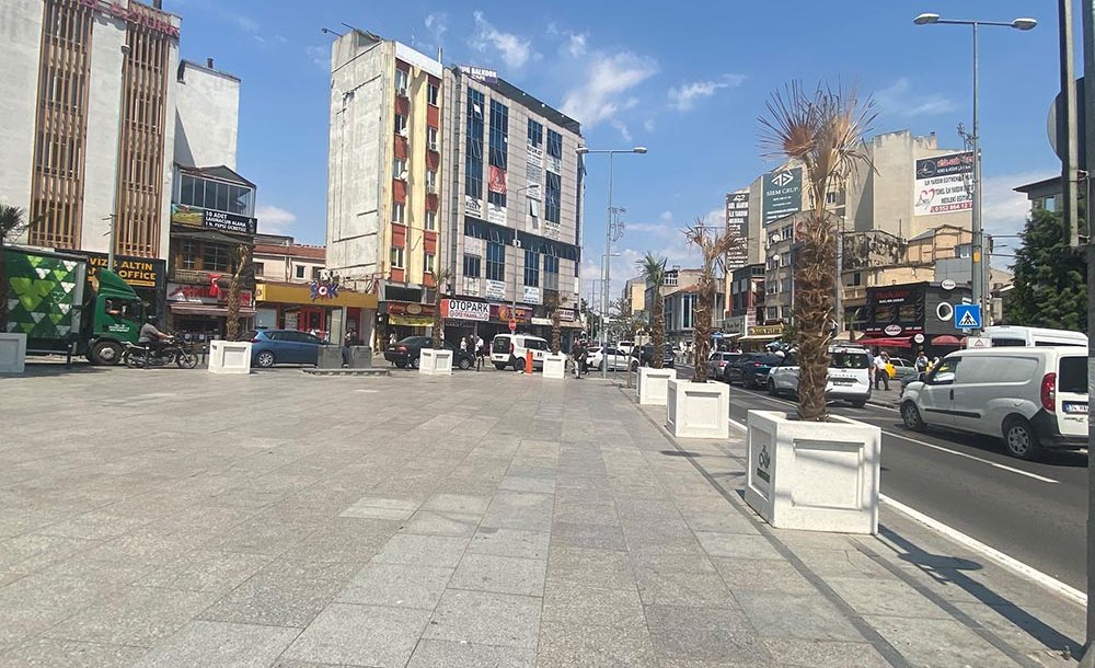 Palmiye Ağaçları Bir Bir Kuruyor! 