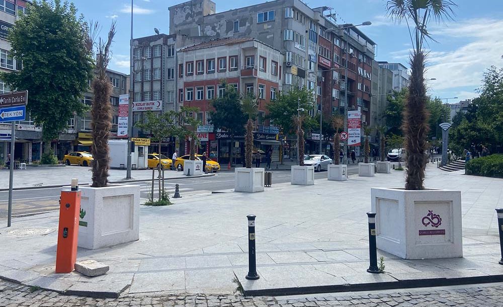Palmiye Ağaçları Kurumaya Başladı 