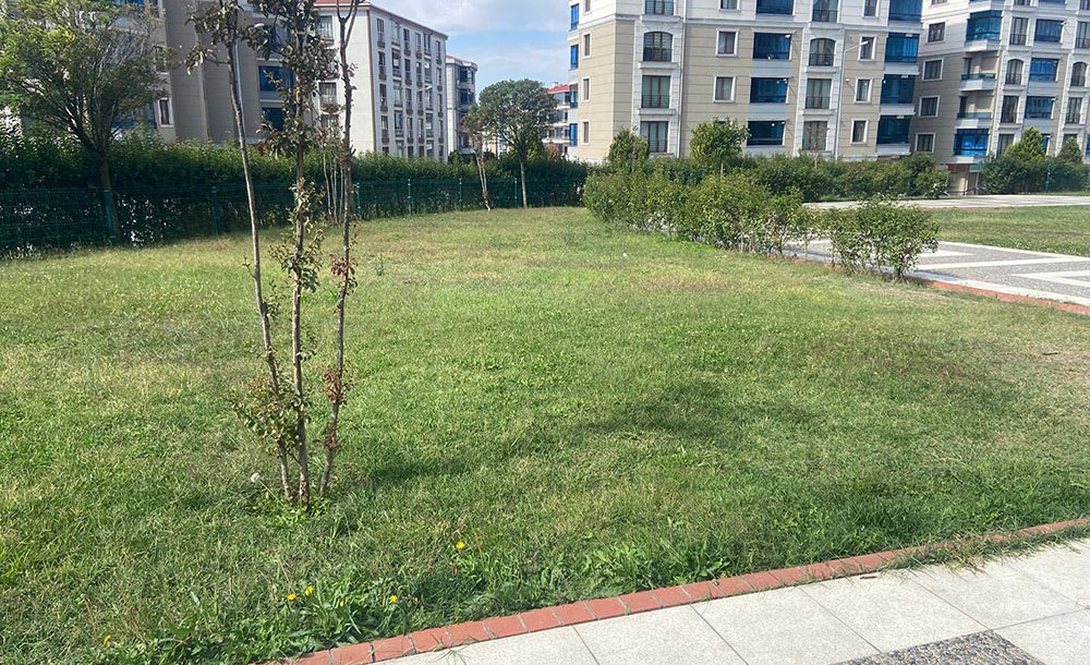 Parkın Temizliği Ve Bakımı Dikkat Çekiyor 