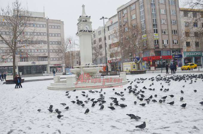 Soğuk Hava Güvercinleri De Etkiledi