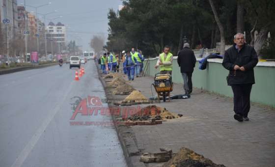 Omurtak Caddesi'ne Ağaç Fidanı