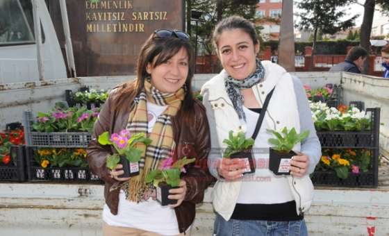 Çorlu Belediyesi`nden Sevgililer Günü Çiçeği
