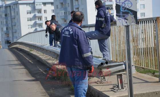 Bu Kadarına Pes