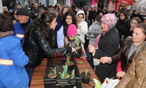 Çorlu Belediyesi Kadınlar Günü'nde Çiçek Dağıttı