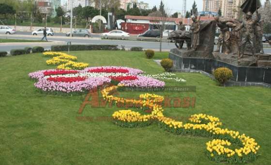 Çorlu Lale Ve Sümbüllerle Bezendi