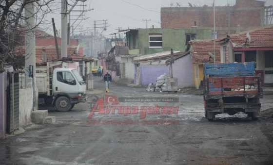 Romanların Kafası Karışık