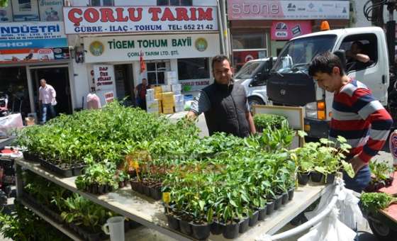 Fide Satışları Hareketlendi