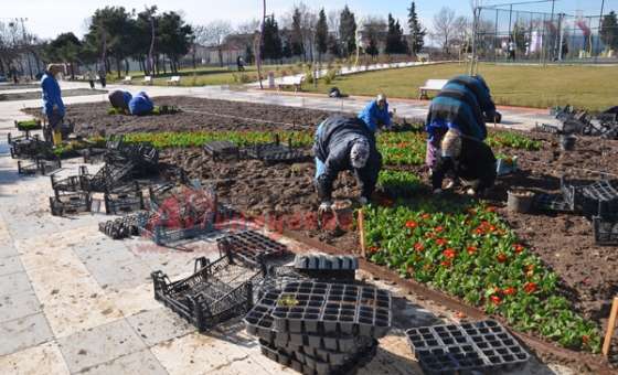Cumhuriyet Parkı Daha Da Güzelleşiyor