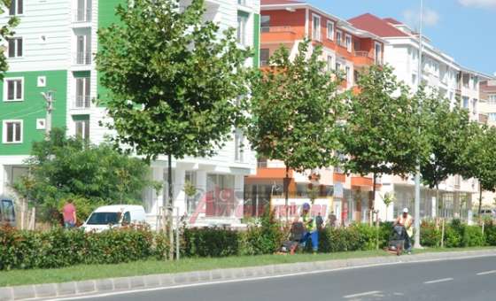 Park Ve Bahçeler Müdürlüğü Ekiplerinden Refüjlere Bakım