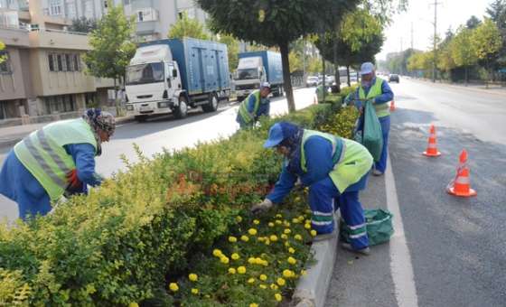 Park Ve Bahçeler Müdürlüğü Çalışıyor