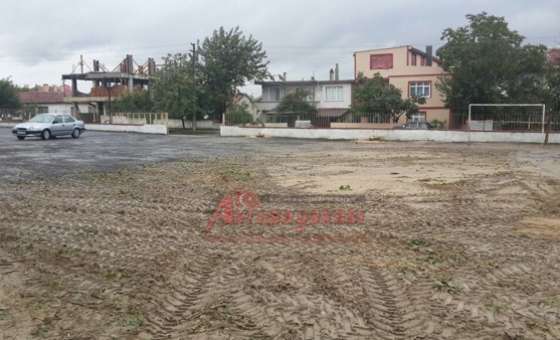 Ergene Belediyesi`nden Ağaç Açıklaması