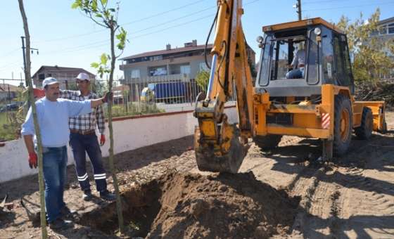 Ergene Belediyesi Ağaçlandırma Çalışmalarına Önem Veriyor