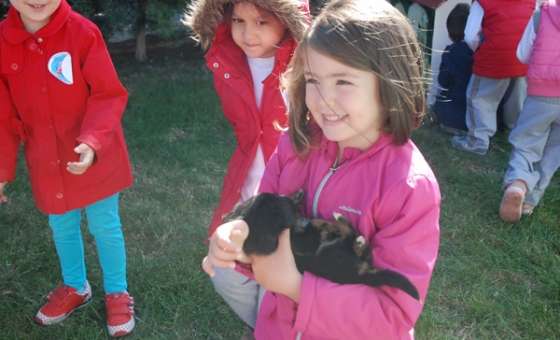 Minik Öğrencilerden Çorlu Belediyesi Hayvan Barınağı`na Ziyaret