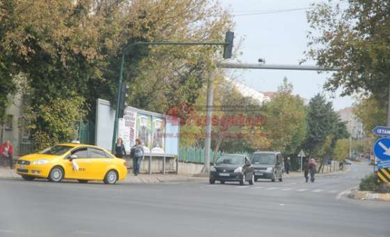 Trafik Işıklarını Mesken Tuttular