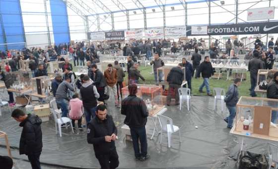  Milyonluk Güvercin Festivali