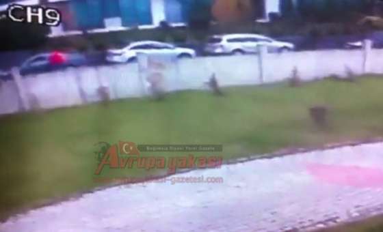 Önce Kameralara Sonra Polislere Yakalandılar