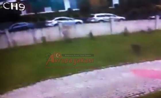 Önce Kameralara Sonra Polislere Yakalandılar