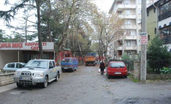 Çorlu Belediyesi Ekipleri Ağaçları Buduyor