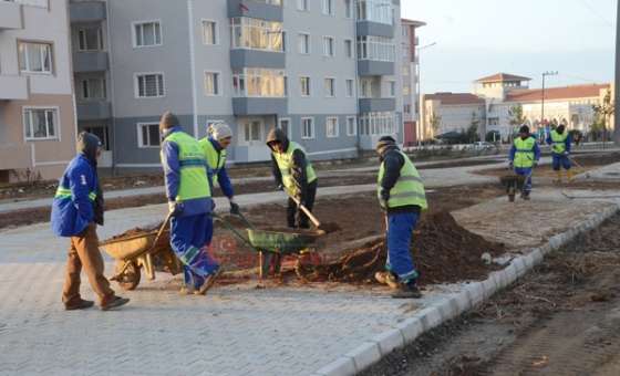 Dondurucu Soğukta Park Çalışması