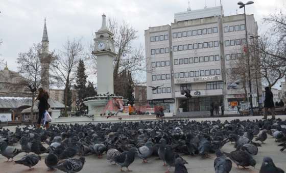 Onları Unutmayın
