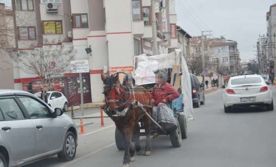 Rahatlığa Bakın