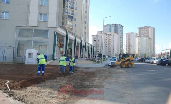 Park Ve Bahçeler Müdürlüğü Ekiplerinden Çevre Düzenlemesi