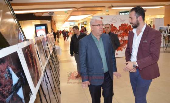 Başkan Yüksel Düğün Fotoğrafları Sergisinde