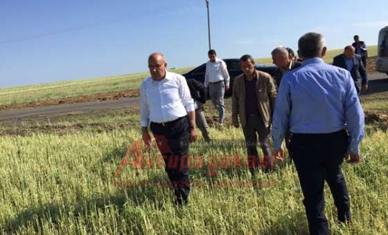 Ak Parti Milletvekili Adayı Akgün Çiftçileri Ziyaret Etti