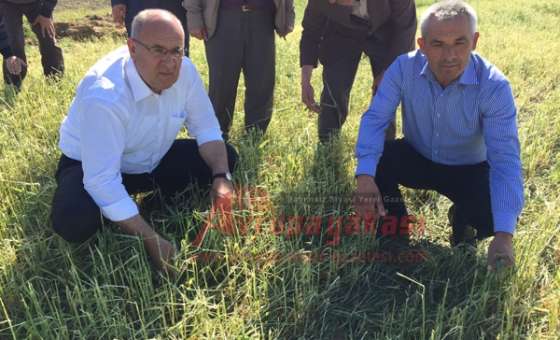 Ak Parti Milletvekili Adayı Akgün Çiftçileri Ziyaret Etti