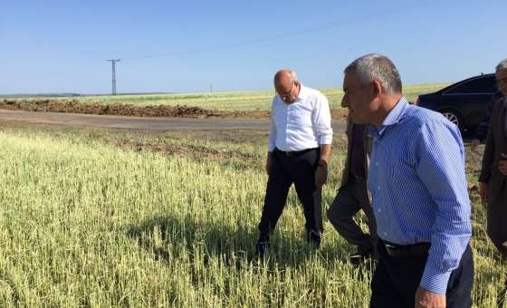 Ak Parti Milletvekili Adayı Akgün Çiftçileri Ziyaret Etti