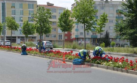 Çorlu Çiçekleniyor