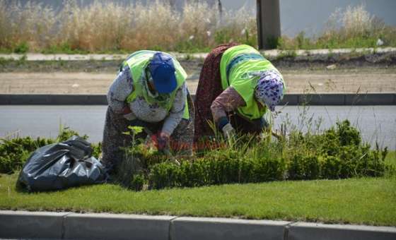 Çorlu Belediyesi Ekiplerinden Refüjlere Yaz Bakımı