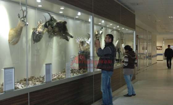 Tahnit Sergisi Devlet Hastanesi'nde   