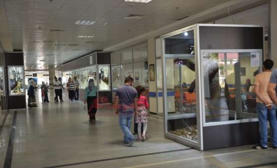 Sanat Kokan Hastane (Görüntülü Haber)