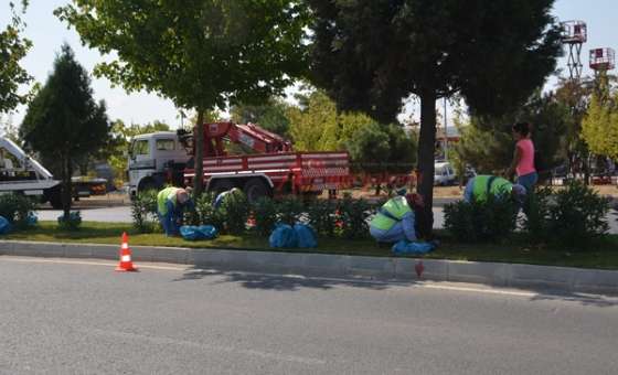 Park Ve Bahçelerden Bakım