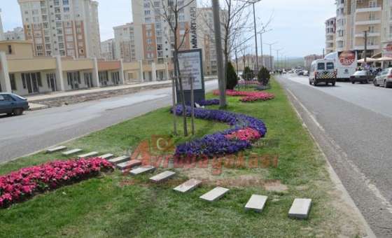 Yaya Geçiş Yeri İsteği